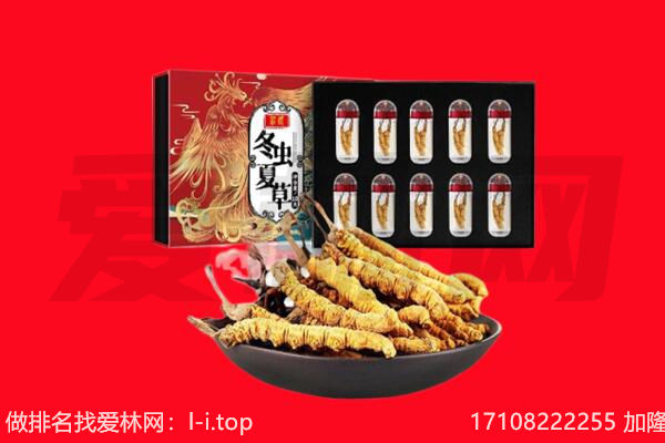 郑州新郑市回收虫草.jpg